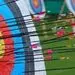 نتایج نمایندگان ایران در مسابقات تیراندازی با کمان قهرمانی جهان