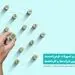 اجرای طرح پاداش در شعب بانک توسعه تعاون