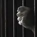 مجازات زندان در برخی حوزه‌ها بازدارنده نیست