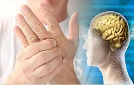 چه چیزهایی بخوریم تا MS نگیریم