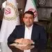 پیام مدیرعامل بانک ملی ایران به مناسبت هفته دفاع مقدس