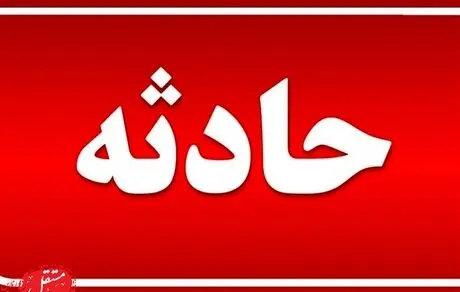 هواپیما روی تیر برق سقوط کرد! + فیلم