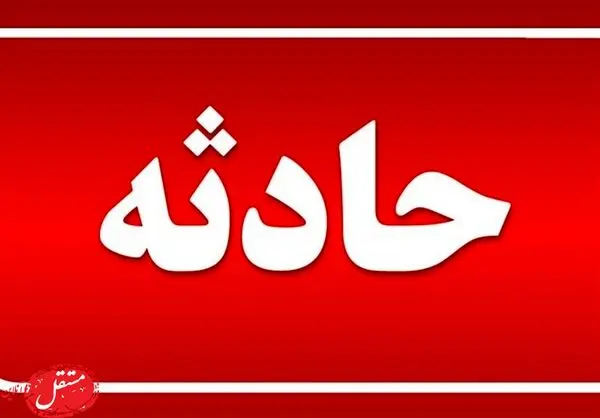 هواپیما روی تیر برق سقوط کرد! + فیلم