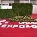 چشم انداز پگاه؛ ثبت رکورد جدید صادراتی