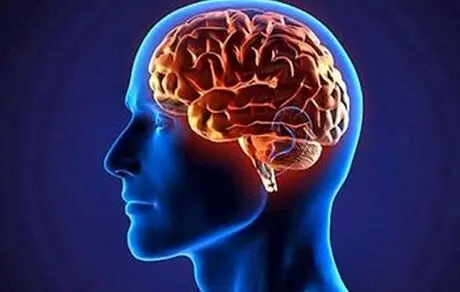 چرا مغز انسان به ورزش نیاز دارد