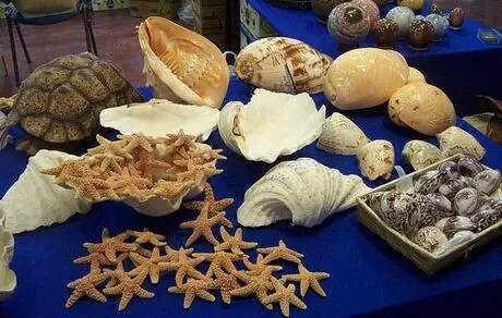 این سوغاتی‌ها را هرگز به خانه نبرید!
