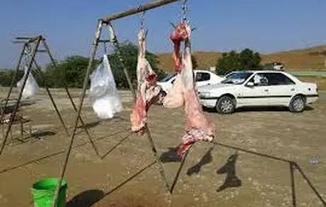 
کشتار دام و طیور در معابر عمومی ممنوع است
