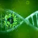 بایدهای تغذیه ای در روزهای کرونایی