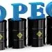 بازار نفت اهمیتی برای اوپک قائل است؟