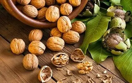 با خواص و فواید بی نظیر گردو آشنا شوید