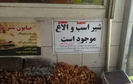 ماجرای فروش شیر الاغ در لبنیاتی‌ها