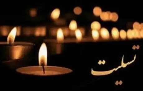 پیام تسلیت وزرای امور خارجه، سفرا و دیپلماتهای کشور به مناسبت فوت دکتر شبان شهیدی مؤدب