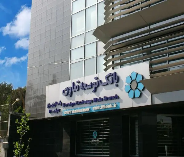 لزوم اتخاذ سیاست‌های حمایتی دولت از بانک توسعه تعاون 
