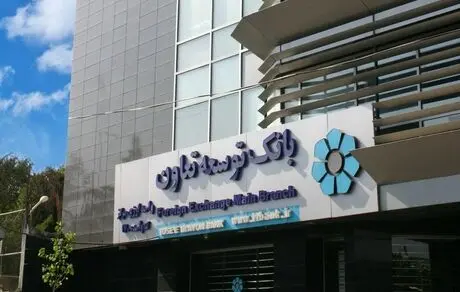 لزوم اتخاذ سیاست‌های حمایتی دولت از بانک توسعه تعاون 