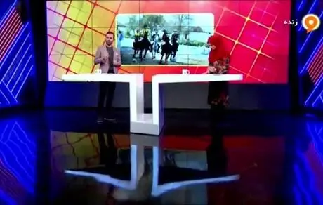 وقتی اسب مسابقه رتبه برتر را نسبت به بازیکنان کسب می‌کند!