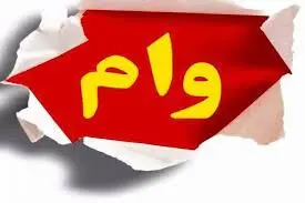 طرح وام بدون ضامن موفقیت‌آمیز بود؟
