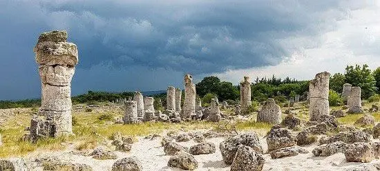 جنگل سنگی در بلغارستان + عکس