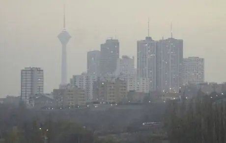 بیش از ۱۰ ماده غذایی برای مقابله با آلودگی هوا