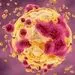 کشف داروی جدید برای درمان تومورهای سرطانی
