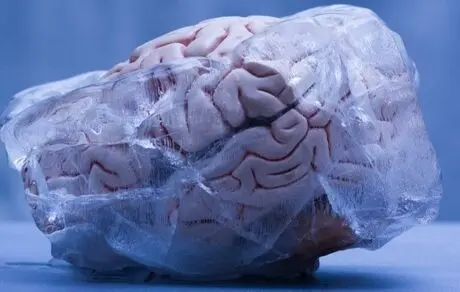 برای حفظ سلامت مغز این 4 کار را حتما انجام دهید