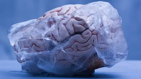 برای حفظ سلامت مغز این 4 کار را حتما انجام دهید