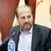 سرمایه بانک توسعه تعاون کفایت لازم را برای حمایت از بخش تعاون ندارد
