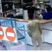 عکس عربده کشی که بیمارستان شهید مفتح را به هم ریخت / دستگیری در ورامین