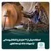 استفاده بیش از 27 هزار طرح اشتغال روستایی از تسهیلات بانک توسعه تعاون 