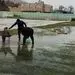 آب چمن ورزشگاه را با ملاقه جمع‌آوری می‌کنند! 