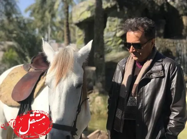 اسب زیبای مجید اخشابی + عکس