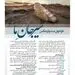 فراخوان جشنواره عکس «سیرجان ما»