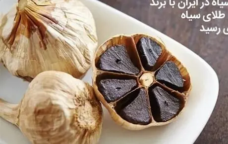 بهره برداری خط تولید و فرآوری سیر سیاه