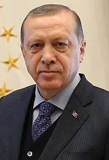 اردوغان با تماس تلفنی تاریخ‌سازی کشتی‌گیر ترکیه‌ای را تبریک گفت