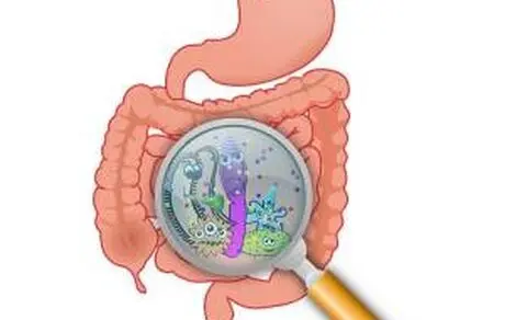 پاکسازی کامل روده با مواد طبیعی و روش های گیاهی توصیه شده در طب سنتی