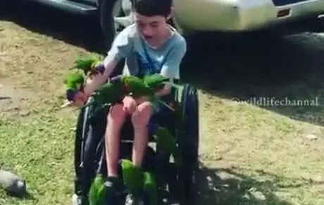  استفاده از حیوانات اهلی برای التیام روحی معلولان، سالمندان و افراد مواجه با بیماریهای صعب‎العلاج
