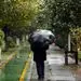 احساس درد در روز‌های مرطوب تشدید می‌شود