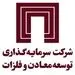 “تجلی” بازویی توانمند برای “ومعادن”