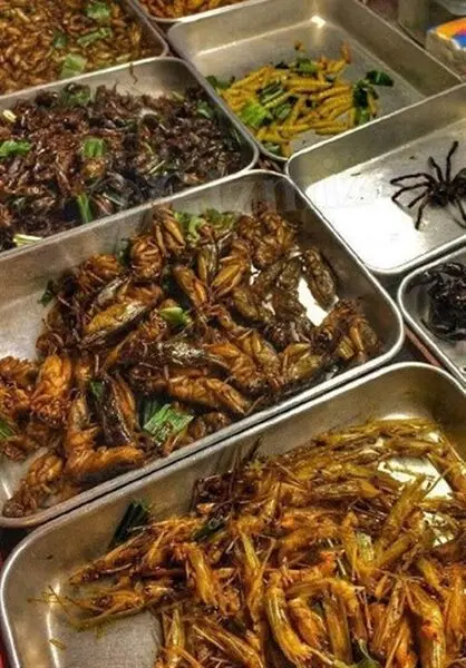 چطور خفاش، موش، سوسک، سگ، قورباغه وارد رژیم‌ غذایی چینی‌ها شد؟
