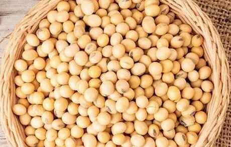 با خوردن سویا، بیشتر عمر کنید