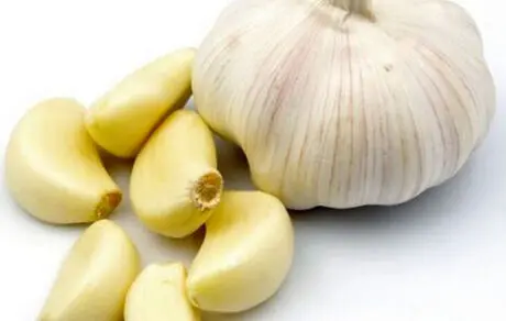 خواص سیر برای بدن