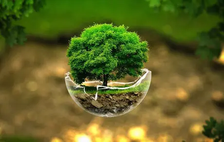 آیا دانش‌آموزان در قبال محیط زیست رفتار مسئولانه‌ای دارند؟