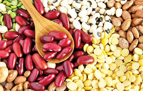 صادرات سیب زمینی و حبوبات ممنوع
