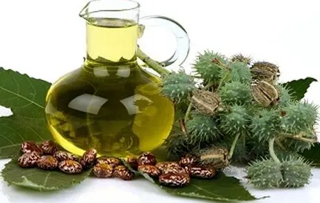 با این روغن  کک‌ومک و جوش را از بین ببرید