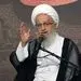 آیت الله مکارم شیرازی:دست‌های مافیایی وحشتناکی در کار است
