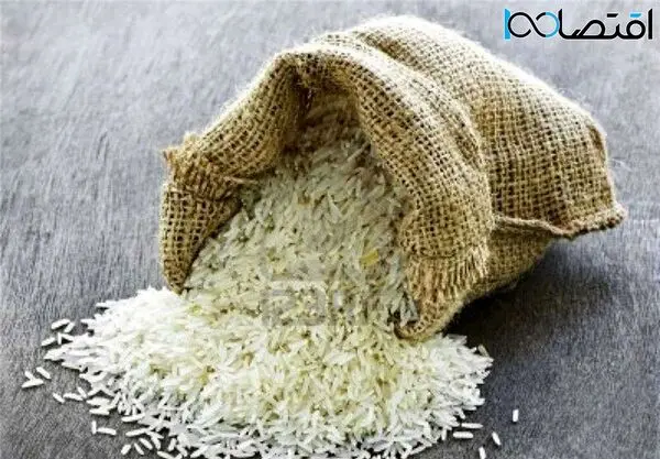 قیمت جدید انواع برنج ایرانی در بازار مشخص شد؛ چند بخریم خوبه؟! + جدول