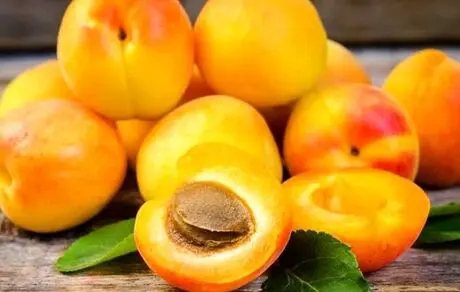 مرگ 100درصدی انسان با خوردن هسته این میوه!