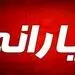 مهم/ یارانه جدید در راه است