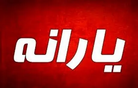 مهم/ یارانه جدید در راه است