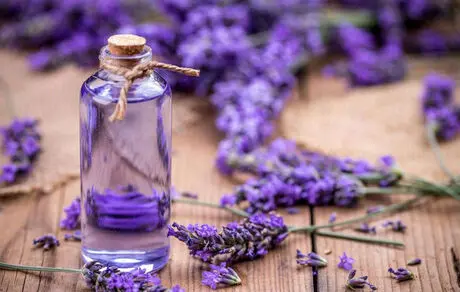 یک نوشیدنی آرامش‌بخش برای رفـع استرس