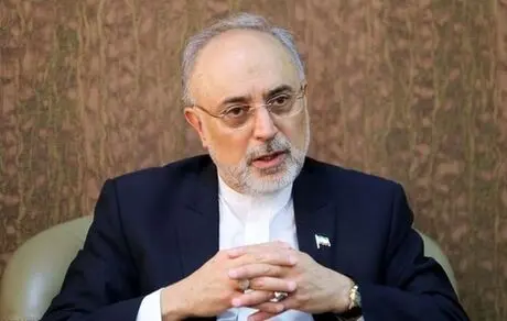 بعد از گرفتن مجوز مذاکره با آمریکا از سوی رهبری دوست داشتم ایشان را بغل کنم و ببوسم! 